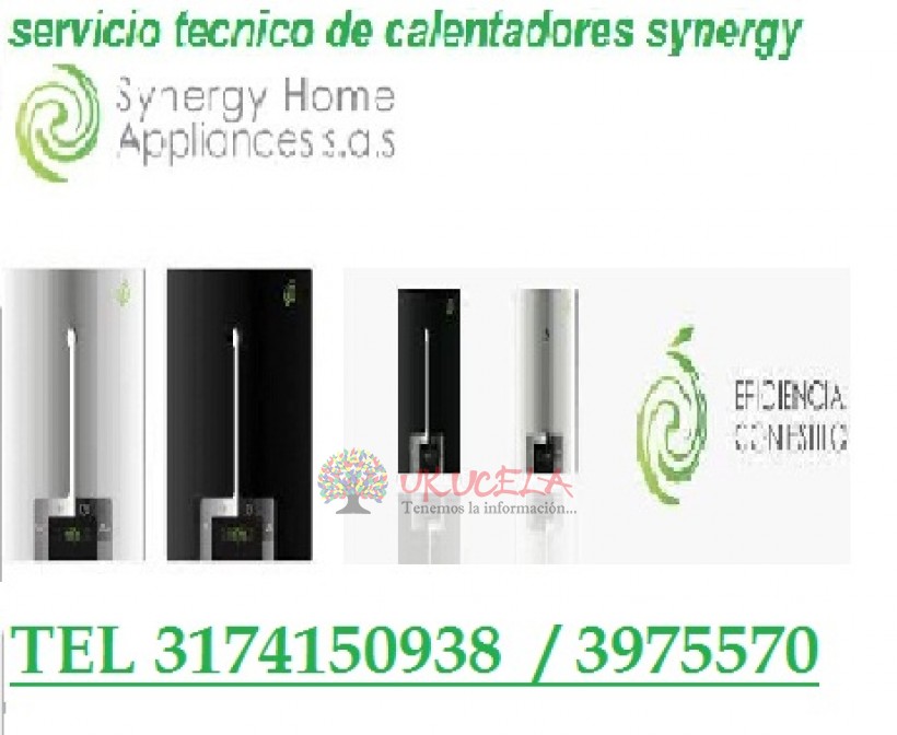 SERVICIO TECNICO ESPECIALIZADO DE CALENTADORES SYNERGY TEL 3174150938