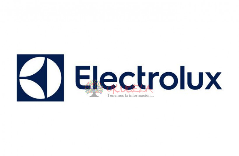 Servicio técnico Electrolux Cota 3153902316