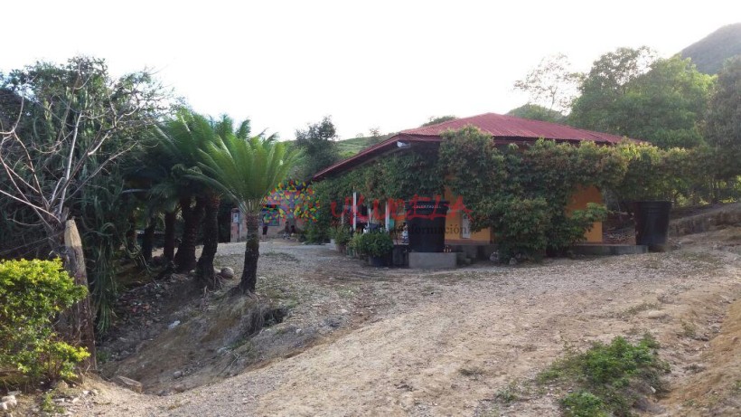 FINCA EN VENTA EN JERUSALÉN-CUNDINAMARCA