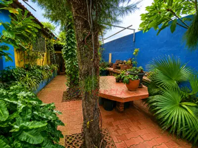 Venta Casa Campestre en Puerto Colombia Atlántico Cerca del Mar - foto 5