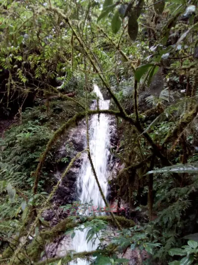 HERMOSA FINCA EN SANTA BARBARA SANTANDER