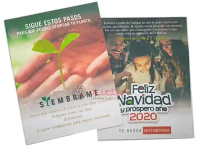 TARJETAS GERMINABLES EN PAPEL SEMILLA