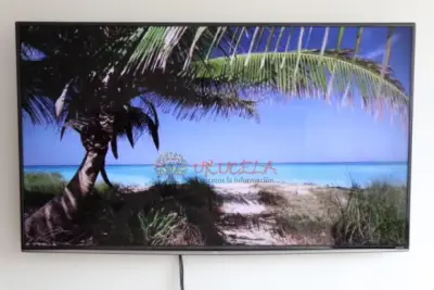 TELEVISION