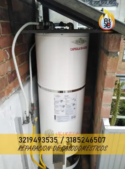 Servicio Tecnico de Calentadores en Acero Inoxidable 3185246507