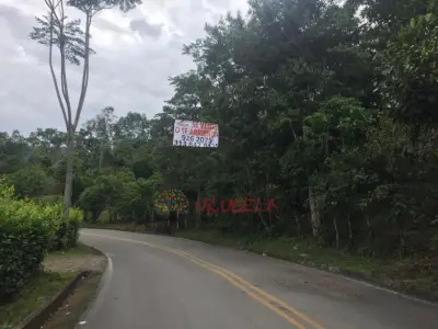 VENTA FINCA PAUNA