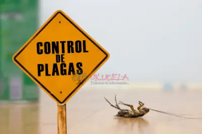 especialistas certificados en control de plagas en santa marta -  domicilio