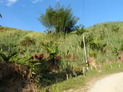 VENTA DE LOTES EN SAN RAFAEL VIA ALEJANDRIA ANTIOQUIA  A 8 KMS DEL BIZCOCHO !!!