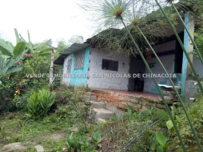 VENDO FINCA PRODUCTIVA EN CHINACOTA
