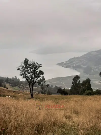 Lote en vereda Cuitiva Boyacá
