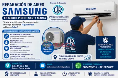 SERVICIO SAMSUNG 3004785616