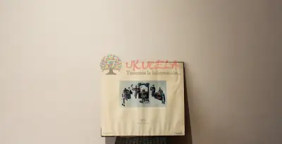 VENDO EXCELENTE OBRA "ARTE CHINO LAMINA NUMERADA"