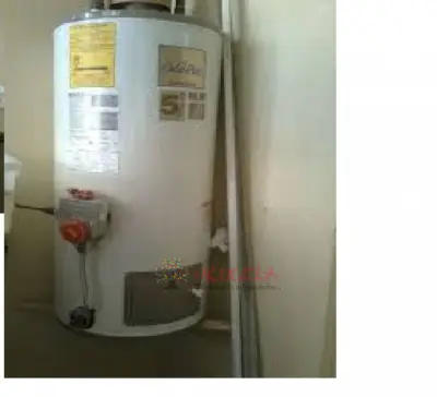 SERVICIO TECNICO ESPECIALIZADO DE CALENTADORES CALOREX TEL 3174150938