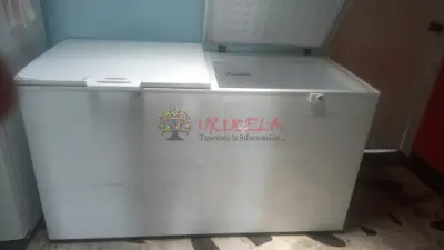 FABRICA DE HELADOS EN VENTA
