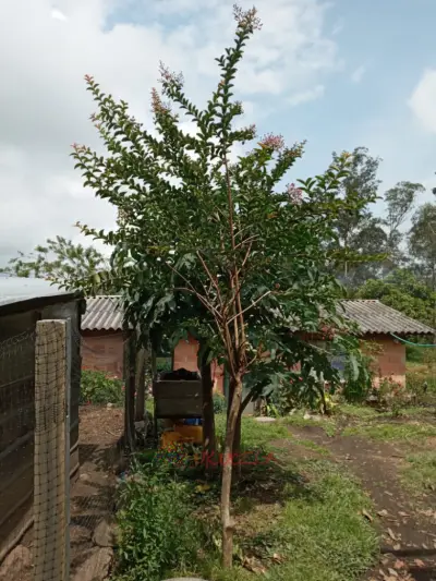 venta de casa lote