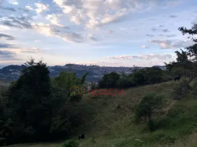 Vende lote en Villamaría