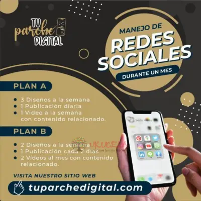 MANEJO DE REDES SOCIALES