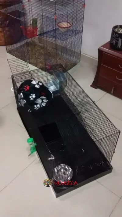 Jaula para roedores pequeños.