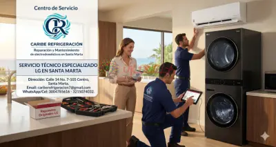 Reparación de Lavadoras y Aires LG santa marta 3004785616