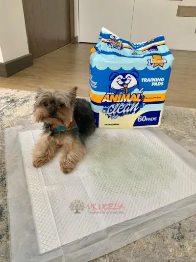TAPETES PARA MASCOTAS