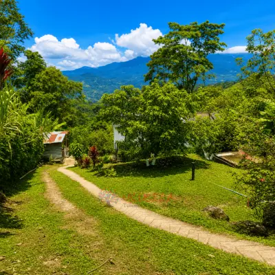Permuto Finca con Montaña Cultivos y Casa en Mesitas del Colegio - foto 3