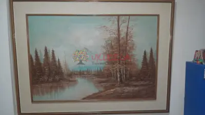 paisajes de montaña