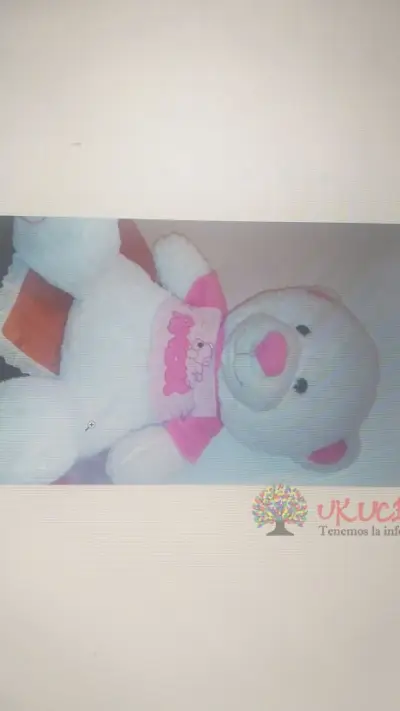 VENDO PELUCHE