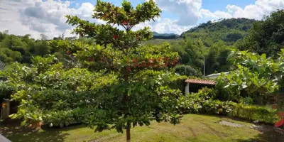 PRECIOSA CASA EN CONJUNTO CERRADO EN SANTAGUEDA SECTOR LA ROCHELA.