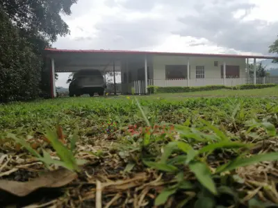 MARAVILLOSA FINCA BELLAVISTA