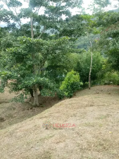 Hermoso lote en nocaima