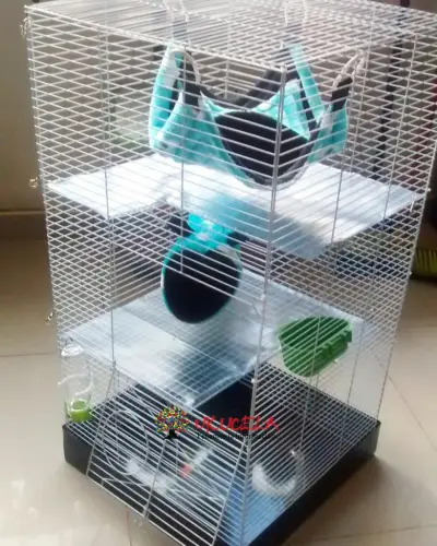 Jaulas para ratas