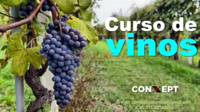 CURSO DE VINOS