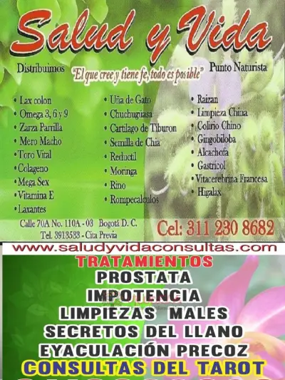saludyvidaconsultas.com