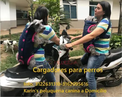 lindos cargadores para perros