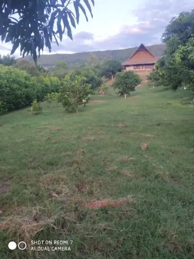VENDO HERMOSA FINCA EN RICAURTE CUNDINAMARCA