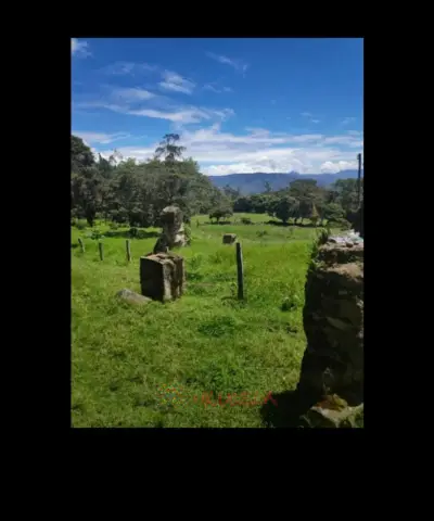 Vendo Finca de 4 fanegadas en Manta-Cundinamarca