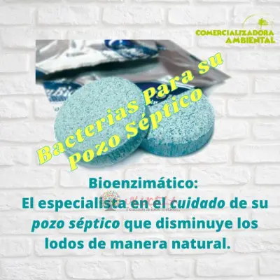 Bacterias para pozo séptico