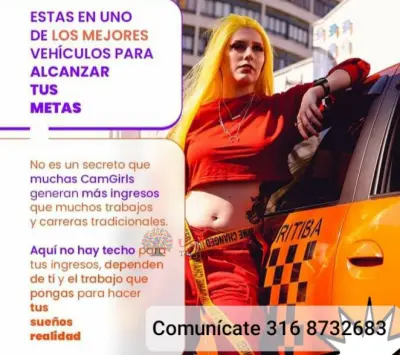 modelos wbc