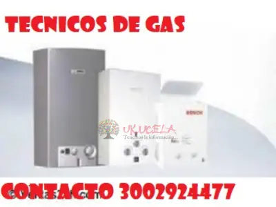 CENTRO DE MANTENIMIENTO Y REPARACION CALENTADORES A GAS