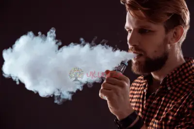 Vaporizadores y cigarrillos electrónicos