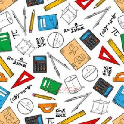 SE REALIZAN TRABAJOS UNIVERSITARIOS DE BACHILLER O PRIMARIA