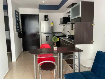 ARRIENDO APARTA ESTUDIO AMOBLADO EN ARMENIA- ORO NEGRO