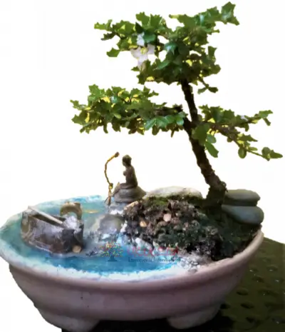 BONSAI HOLLY MINIATURA CON DISEÑO DE LAGO EN RESINA