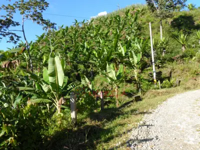VENTA DE LOTES VIA SAN RAFAEL ALEJANDRIA DEL BIZCOCHO A 8 KMS