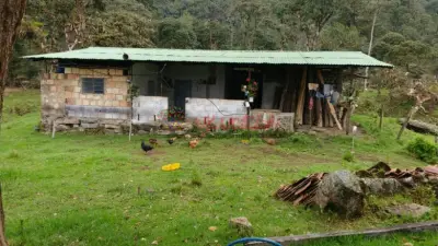 VENDO O PERMUTO FINCA EN MANTA CUNDINAMARCA