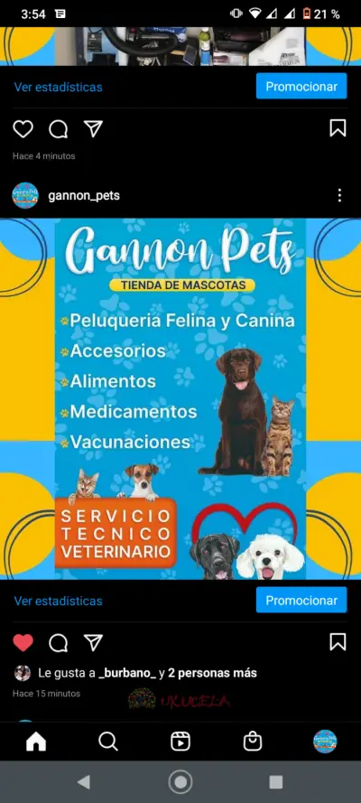 GANNON PETS