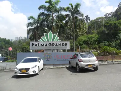 LOCAL CENTRO COMERCIAL PALMA GRANDE PALMAS MEDELLIN.