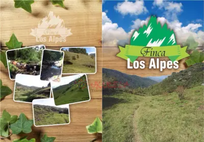 Fincas los Alpes es una gran oportunidad de Inversión