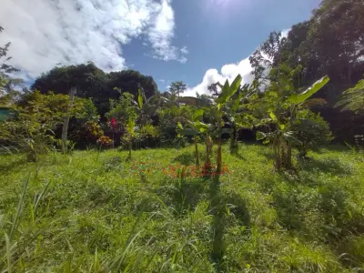 VENTA FINCA EN VIOTA