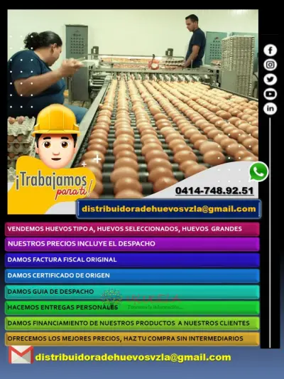 Vendemos huevos al mayor