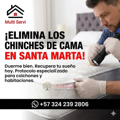 eliminar chinches de cama en santa marta multi servi